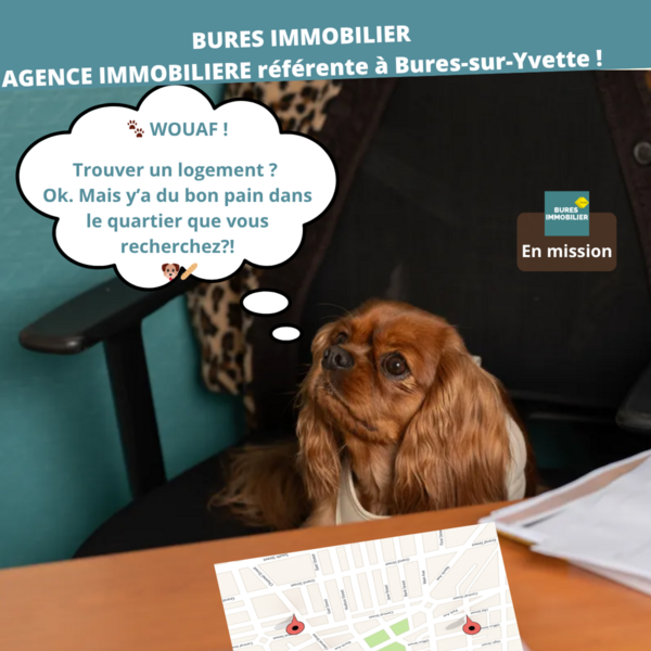 Immobilier et proximité