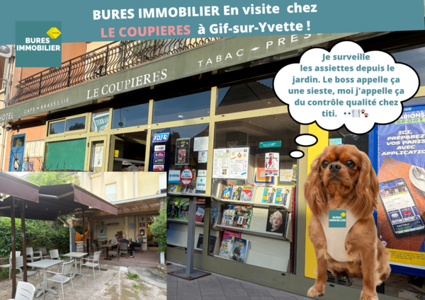 Titi le Giffois des Coupières 👀🍽️🐾 