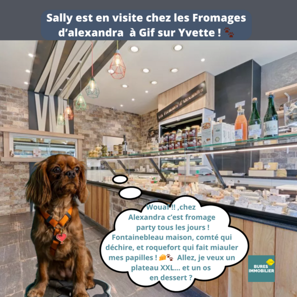 Je retourne en visite des nos villes