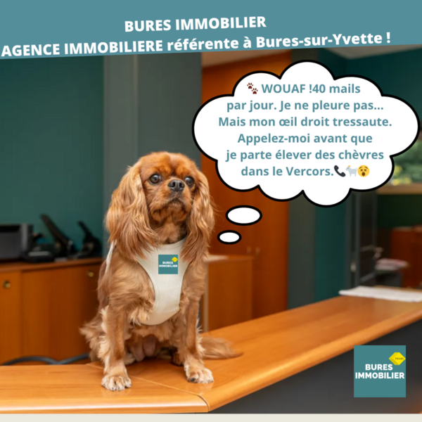 Urgence boîte mail sieste en danger