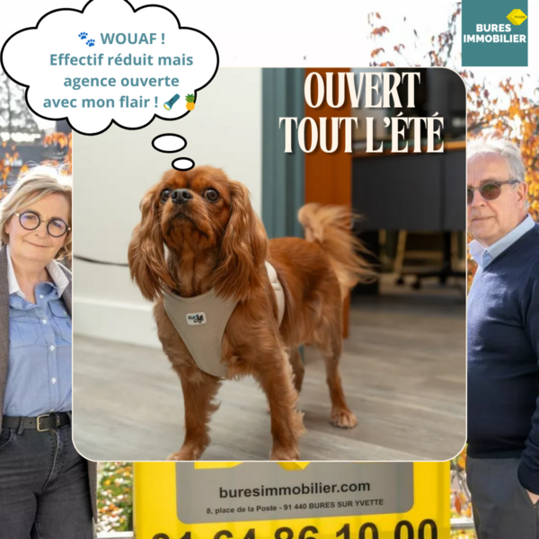 Bures immobilier reste ouvert tout l'été