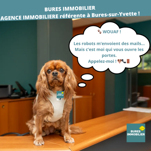 Post réseaux sociaux l'IA ou Sally 