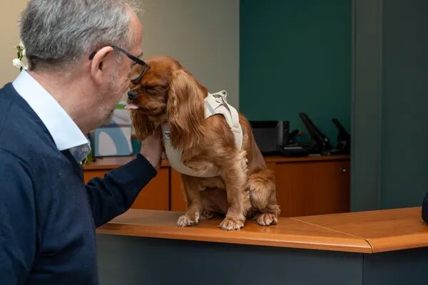 🌟 Fiers de notre meute