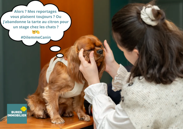 🐾 9 mois que Sally visite vos commerces de quartier