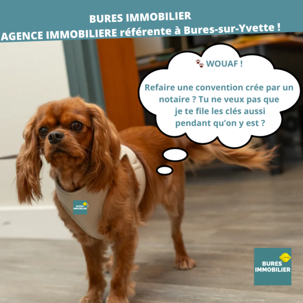 l'aventure de la convention