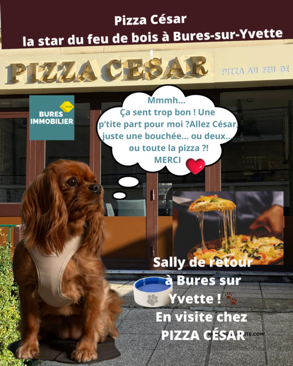 🍕 Mission Pizza : Sally en repérage chez César ! 🐶