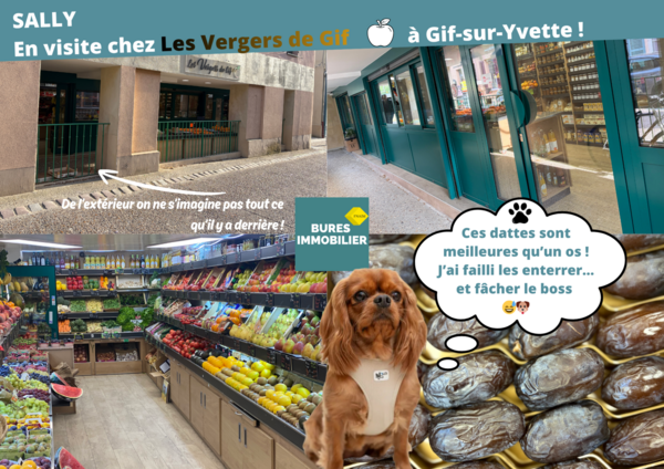 🍊 Les Vergers de Gif primeur hors pair