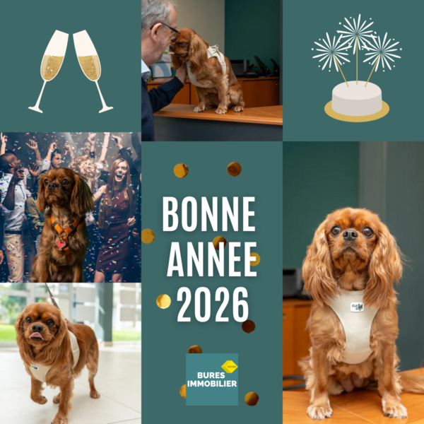 Sally vous souhaite une belle année 2026