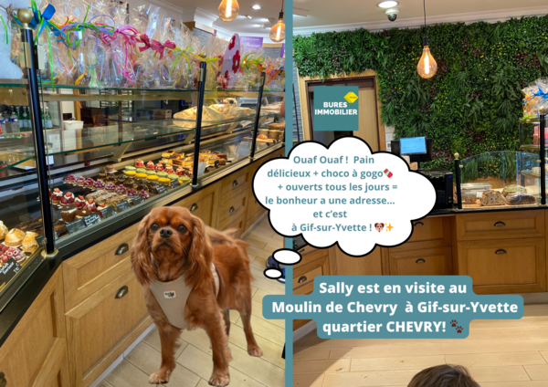 Découverte du Moulin de Chevry 🐾 