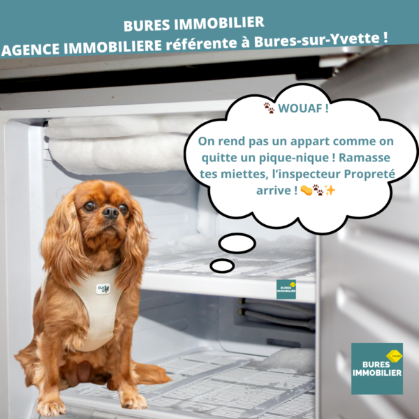 Checklist ménage avant l’état des lieux